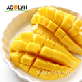 500g Packung Getrocknete Mango mit gutem Preis